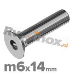 m6x14mm ISO 10642 A2