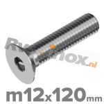 m12x120mm ISO 10642 A2