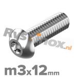 m3x12mm ISO 7380-1 A2