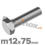 m12x75mm DIN 933 A2
