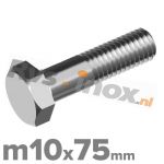 m10x75mm DIN 931 A2